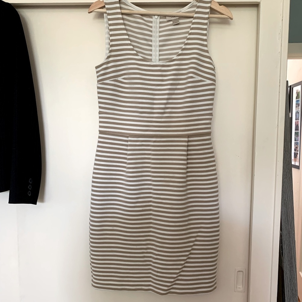 Ann Taylor Loft dress, size 2